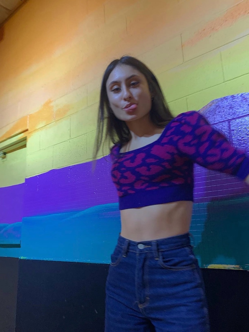 Urban Outfitters Purple & Pink Leopard Crop Top